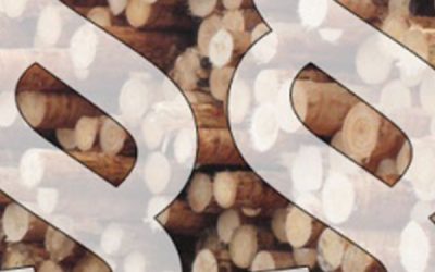 Kommentar der AGR zum Eckpunktepapier Biomassestrategie: Biomasse auch strategisch denken